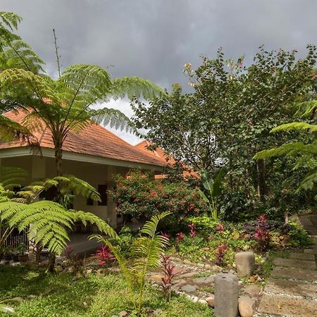Ara Garden Inn, Accommodation, Yoga Studio & Spa Ruteng Zewnętrze zdjęcie
