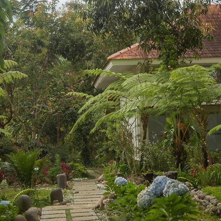 Ara Garden Inn, Accommodation, Yoga Studio & Spa Ruteng Zewnętrze zdjęcie